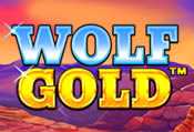 Wie man Wolf Gold kostenlos spielt